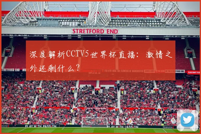 深度解析CCTV5世界杯直播：激情之外还剩什么？