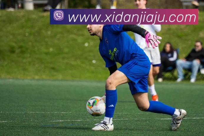 mksports官方网站平台生态图