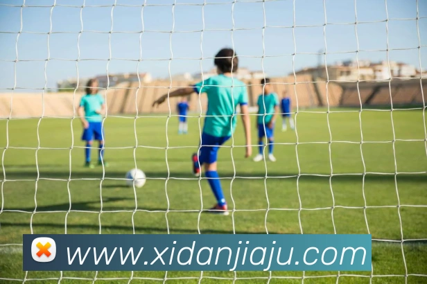 mksports官方网站APP 封面图